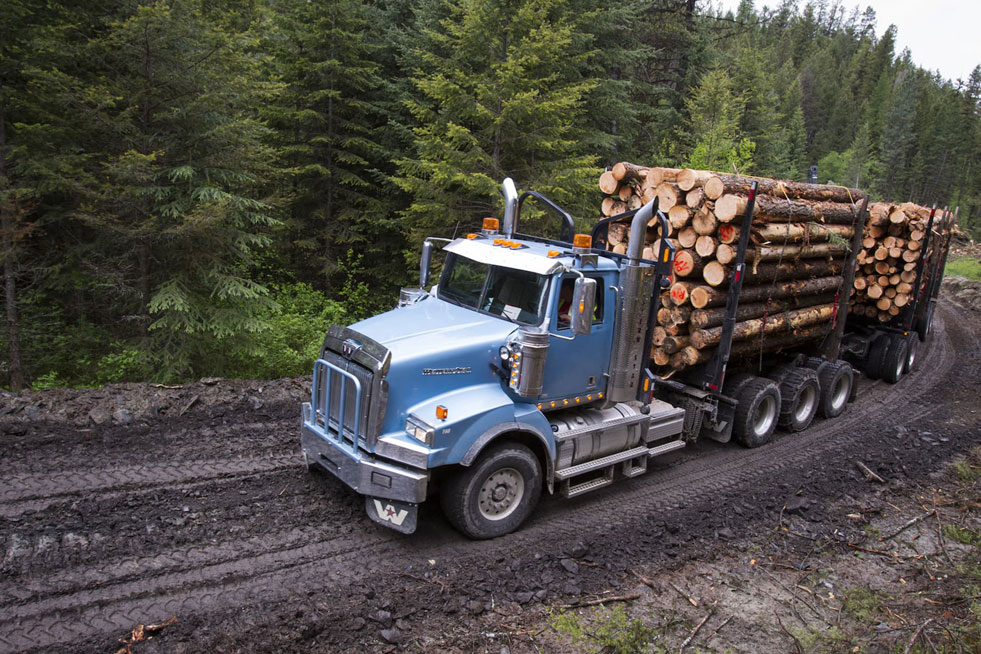 Blue Western Star Log Trailer driving through a forest road with no concrete pavement