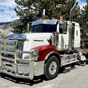 2020 WESTERN STAR 4900SA 48" 48 #LR5567U